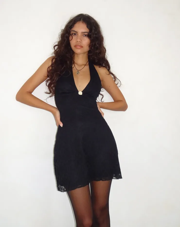 Women Motel Rocks Bodycon Dresses | Little Black Dresses | Codami Halterneck Mini Dress in Lace Black