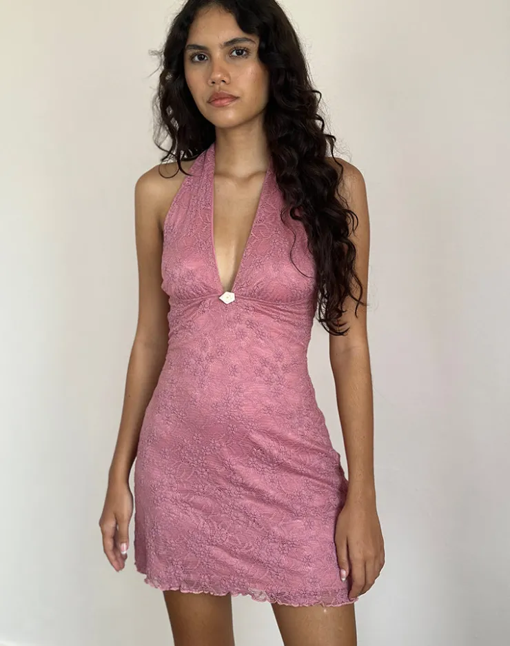 Women Motel Rocks Day Dresses | Bodycon Dresses | Codami Halterneck Mini Dress in Lace Dusty Rose