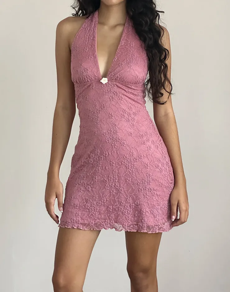 Women Motel Rocks Day Dresses | Bodycon Dresses | Codami Halterneck Mini Dress in Lace Dusty Rose